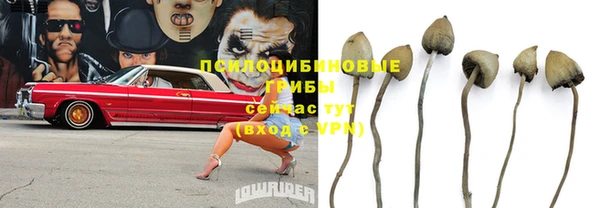 шишки Баксан