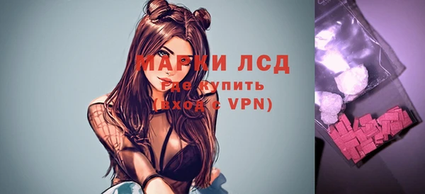 шишки Баксан