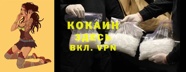 шишки Баксан