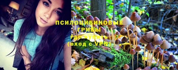 синтетический гашиш Ростов