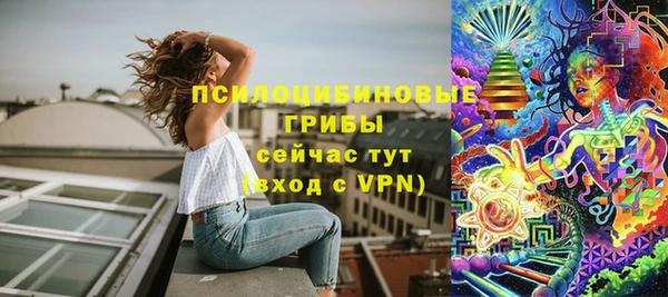 шишки Баксан