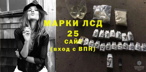 шишки Баксан